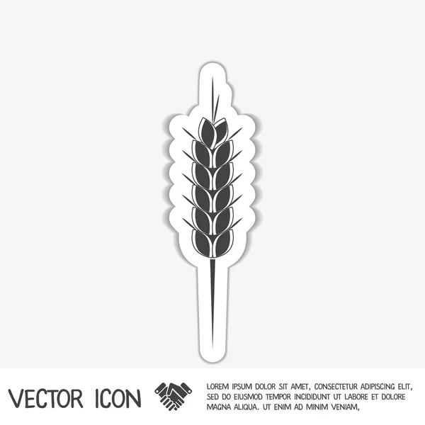 Espiga de trigo — Vetor de Stock