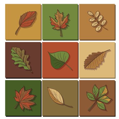 Orman Icons set bırakır