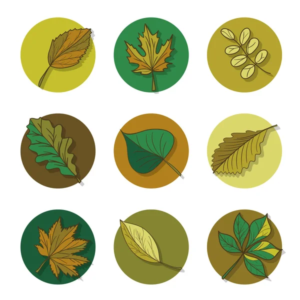 Bosque hojas iconos conjunto — Vector de stock