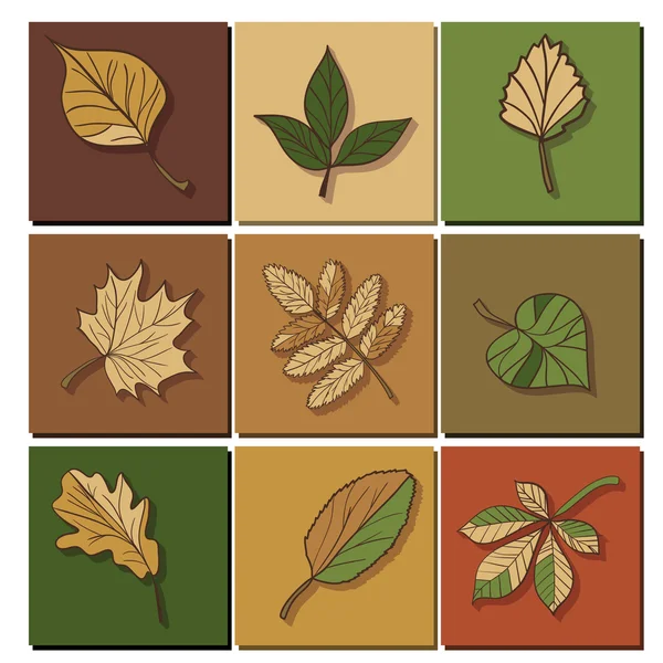 Bosque hojas iconos conjunto — Vector de stock