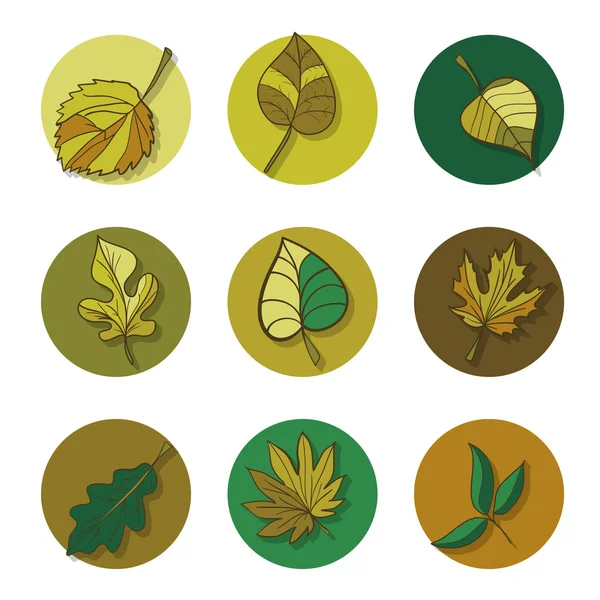 Bosque hojas iconos conjunto — Vector de stock