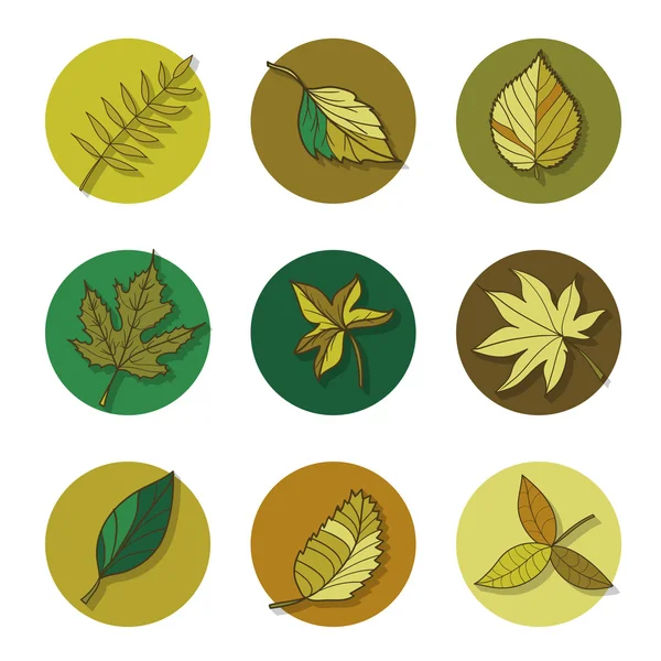 Bosque hojas iconos conjunto — Vector de stock