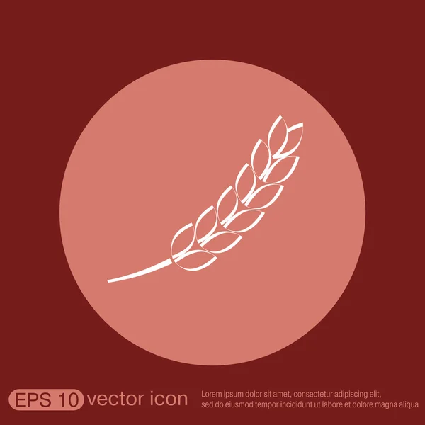 Weizen-Ähre — Stockvektor