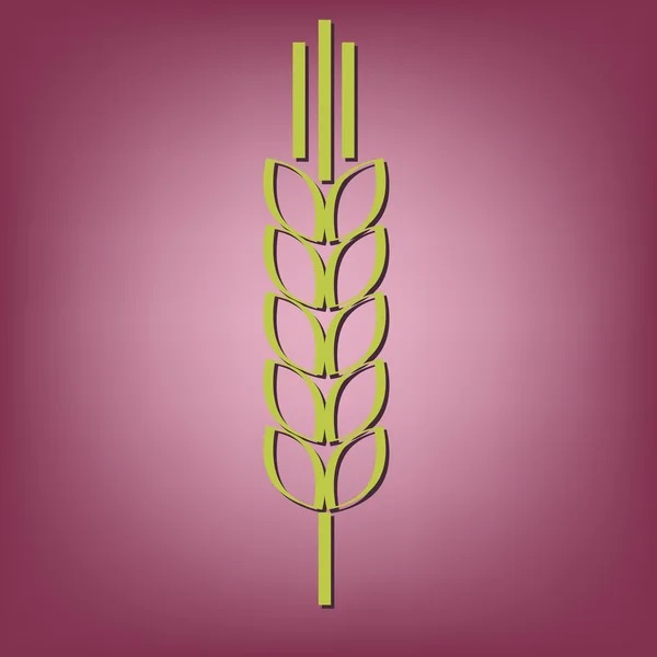 Wheat spike ear — Stock Vector