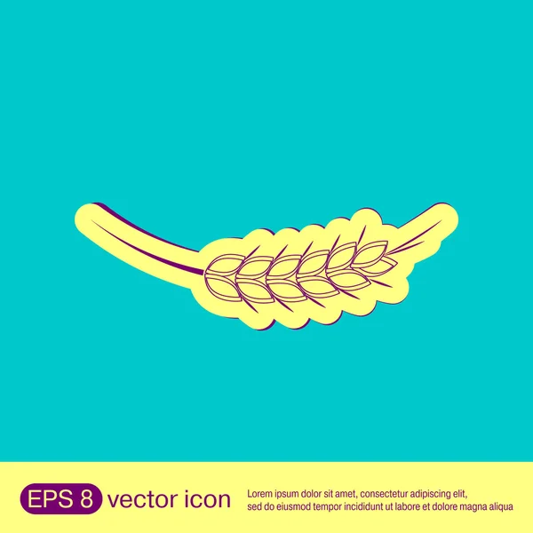 Espiga de trigo espiga icono — Vector de stock
