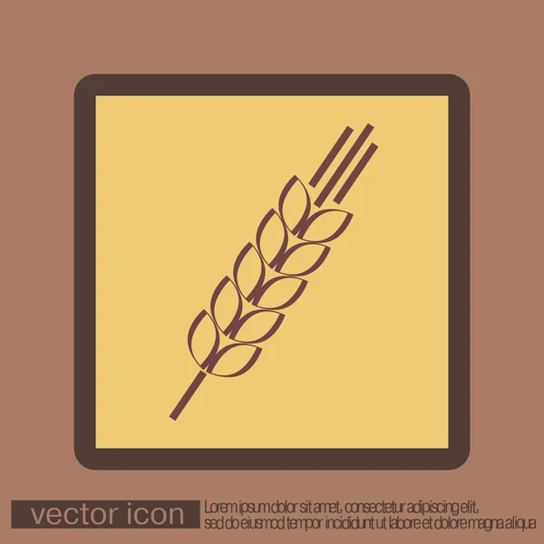 Ikone der Weizenspitzen — Stockvektor