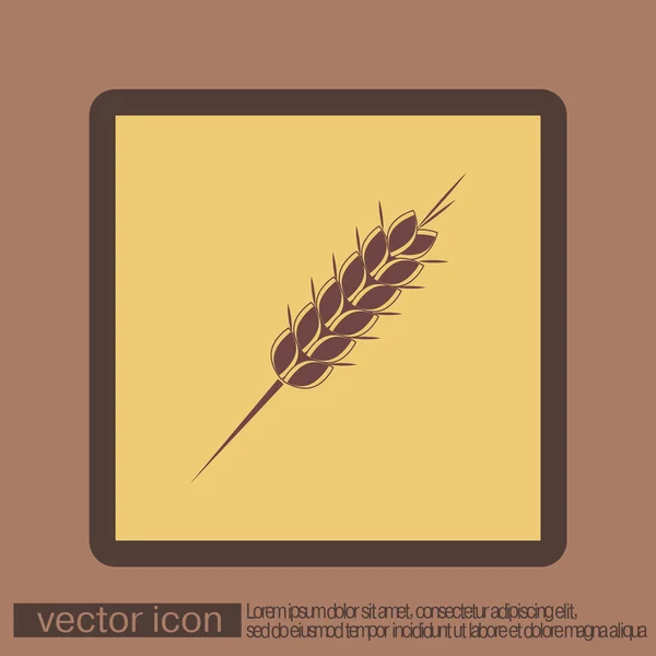 Ícone de espiga de trigo — Vetor de Stock