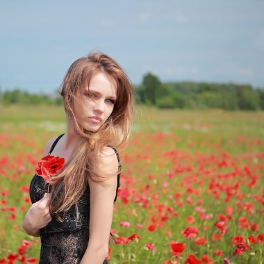 güzel kız haşhaş alanında, siyah elbise