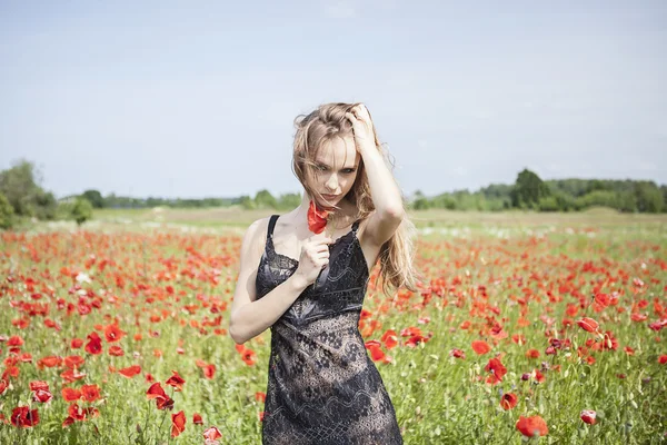 Hermosa chica en el campo de amapola, vestido negro —  Fotos de Stock