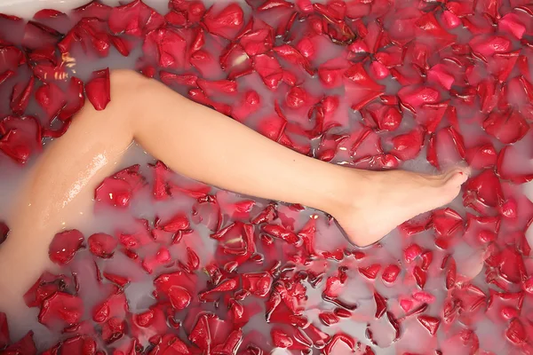 Retrato de chica pinup caliente bellísima, pelo rojo tomando baño relajante con pétalos de flores sobre fondo de espacio de copia blanca Fotos De Stock