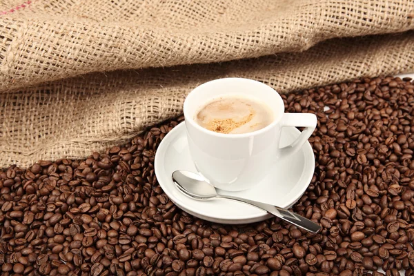 Taza de café y frijoles sobre un fondo blanco. —  Fotos de Stock