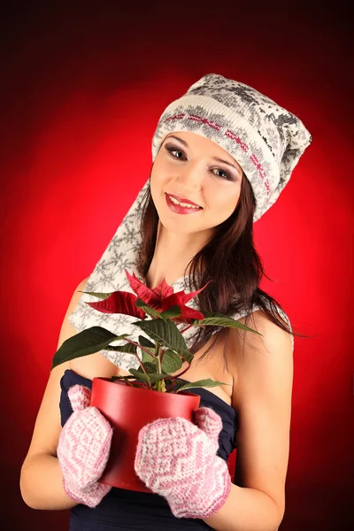 Christmas girl with red flower in her hand — Stock Photo, Image