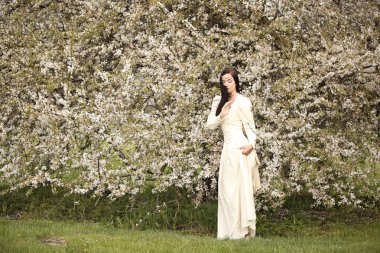 Gelin gelinlik orman beyaz ağacında