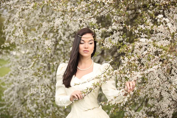 Vestido de noiva na floresta vintage árvore branca — Fotografia de Stock