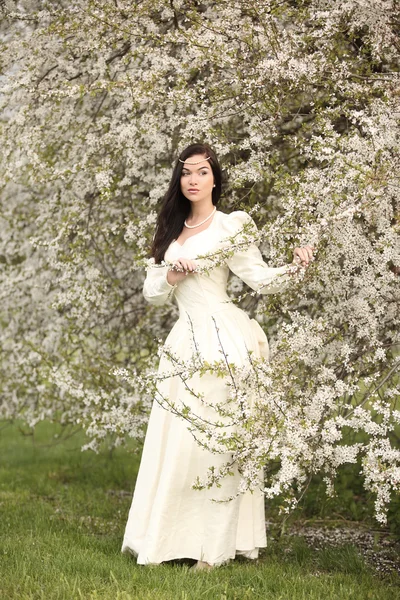 Vestido de noiva na floresta vintage árvore branca — Fotografia de Stock