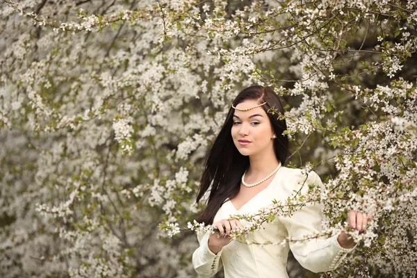 Novia vestido de novia en bosque vintage árbol blanco — Foto de Stock