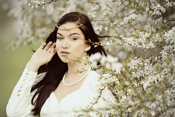 Vestido de noiva na floresta vintage árvore branca — Fotografia de Stock