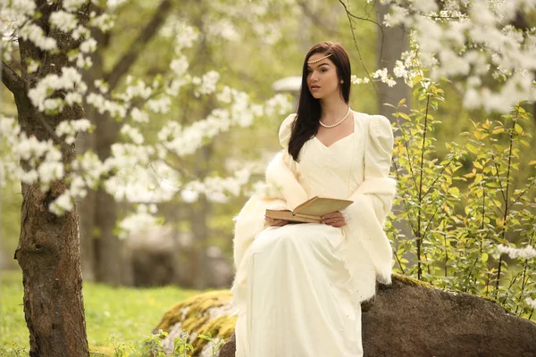 Vestido de noiva na floresta vintage árvore branca — Fotografia de Stock