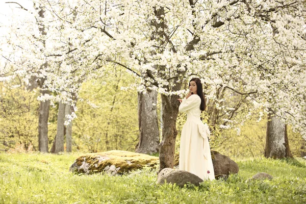 Abito da sposa in foresta vintage albero bianco — Foto Stock