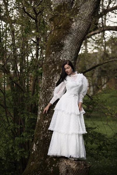 林木的复古白色新娘婚纱礼服 — 图库照片