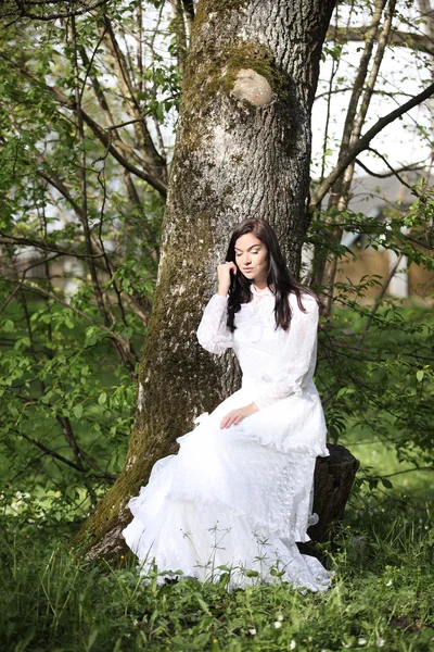 Novia vestido de novia en bosque vintage árbol blanco —  Fotos de Stock
