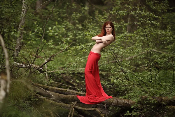 Ritratto d'arte moda di giovane ragazza marrone con abito rosso — Foto Stock