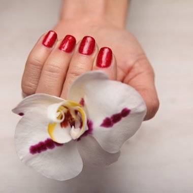 Güzel kadının güzel Noel manikür çivi