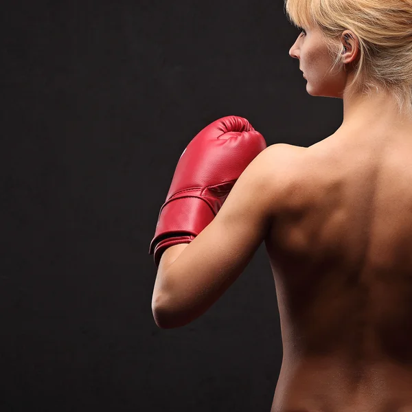Sexy brunette posing topless in boxing gloves — Stock Photo, Image