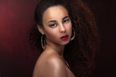 Beauty portrait of elegant african american girl.