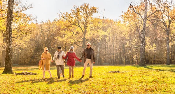 Gelukkige Groep Oude Senioren Die Samen Wandelen Een Prachtig Zonnig — Stockfoto