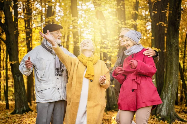 Groep Van Senior Vrienden Zoek Naar Gouden Bladeren Prachtige Kleurrijke — Stockfoto