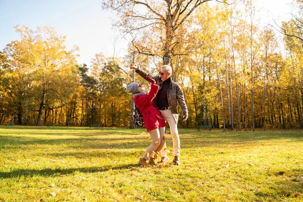 행복하고 미소짓는 부부가 아름다운 공원에서 즐거운 시간을 보냅니다 사람들은 나뭇잎을 — 스톡 사진