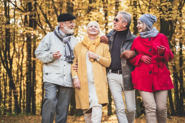 Group Senior Friends Walking Beautiful Colorful Autumn Park Old Age — Stockfoto