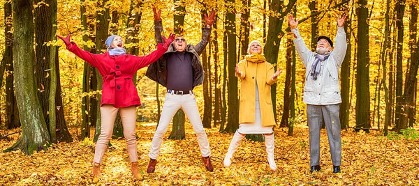 Altın Sonbahar Parkında Yapraklarla Oynayan Bir Grup Mutlu Kıdemli Arkadaş — Stok fotoğraf