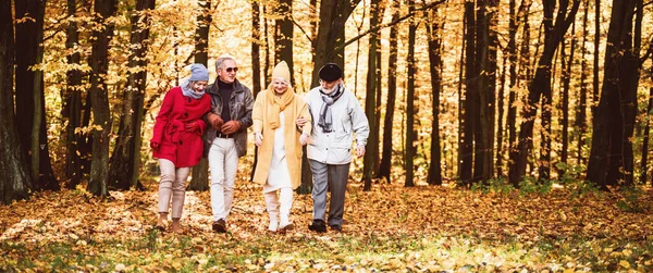 Group of senior friends walking in beautiful colorful autumn park. Old age persons talking during walk, spending time together on fresh air. Retirement and positive elderly lifestyle concept.