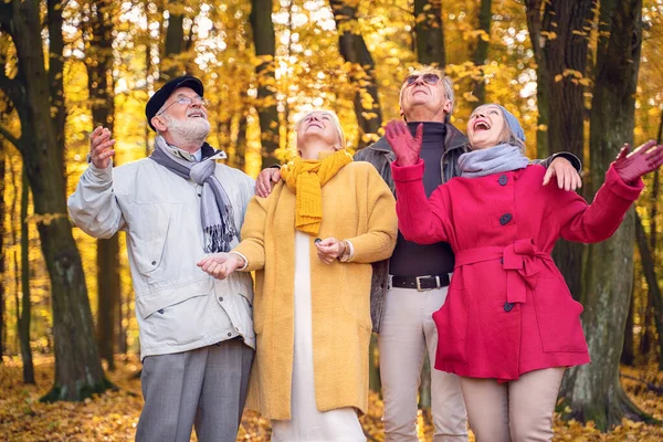 Группа Старших Друзей Смотрит Золотые Листья Красивом Красочном Осеннем Парке — стоковое фото