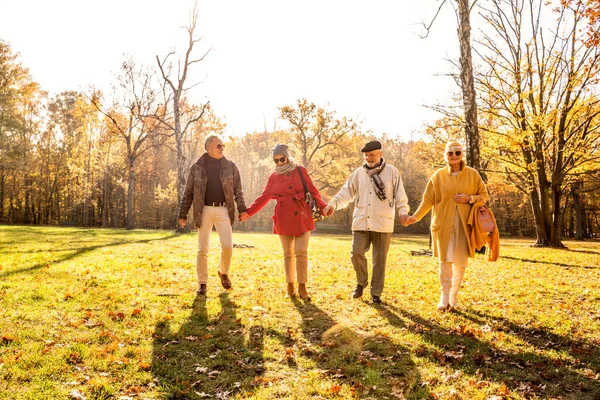 Gelukkige Groep Oude Senioren Die Samen Wandelen Een Prachtig Zonnig — Stockfoto