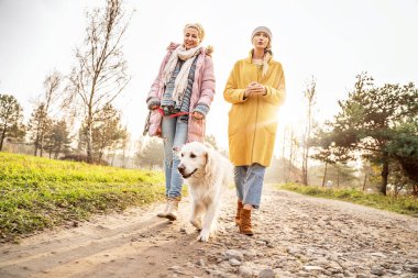 Sonbahar parkında Golden Retriever köpeğiyle konuşan ve yürüyen iki sarışın kız..