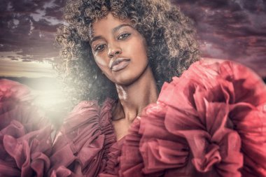 Güzel afro bir kadının moda portresi. Kız kameraya bakıyor. Afro saç stili. Zarif stil. 