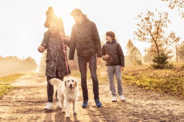 Üç oğlu olan baba, güneşli sonbahar doğasında Goldern Retriever köpeğiyle yürüyüşe çıkmış. Mutlu aile birlikte eğleniyor, oynuyor ve gülümsüyor..