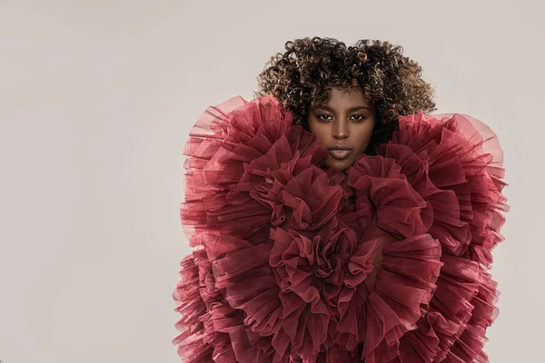 Beauty Portrait Afro Woman Girl Looking Camera Elegant Style Curly — Stock Photo, Image