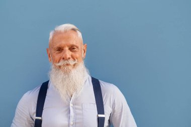 Yakışıklı, zarif, gri saçlı, sakallı bir adamın portresi doğrudan kameraya bakıyor. Mavi pastel arka plan. Bir sürü kopyalama alanı. 