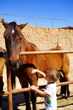 Küçük çocuk kırsalda güneşli bir yaz gününde güzel bir atla oynuyor. Çiftlikte evcil hayvanlara bakan bir çocuk. Çocuklar ve hayvanlar arkadaşlık kavramı