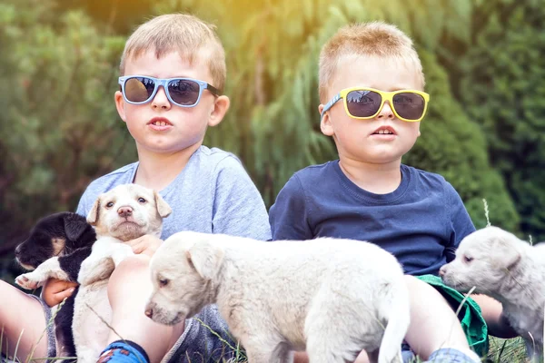 子犬と男の子. — ストック写真