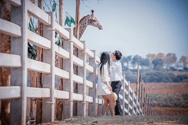 Asia joven Pareja con jirafa — Foto de Stock