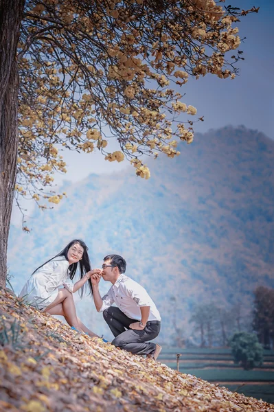 Asie heureux jeune couple assis sur arbre jaune — Photo