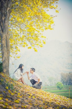 Asya mutlu genç çift sarı ağaçta oturuyor 