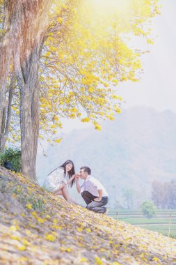 Asya mutlu genç çift sarı ağaçta oturuyor