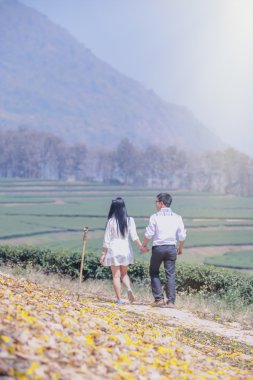 Asya aşıklar el el parkta yürüyüş