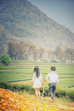 Asya aşıklar el el parkta yürüyüş 